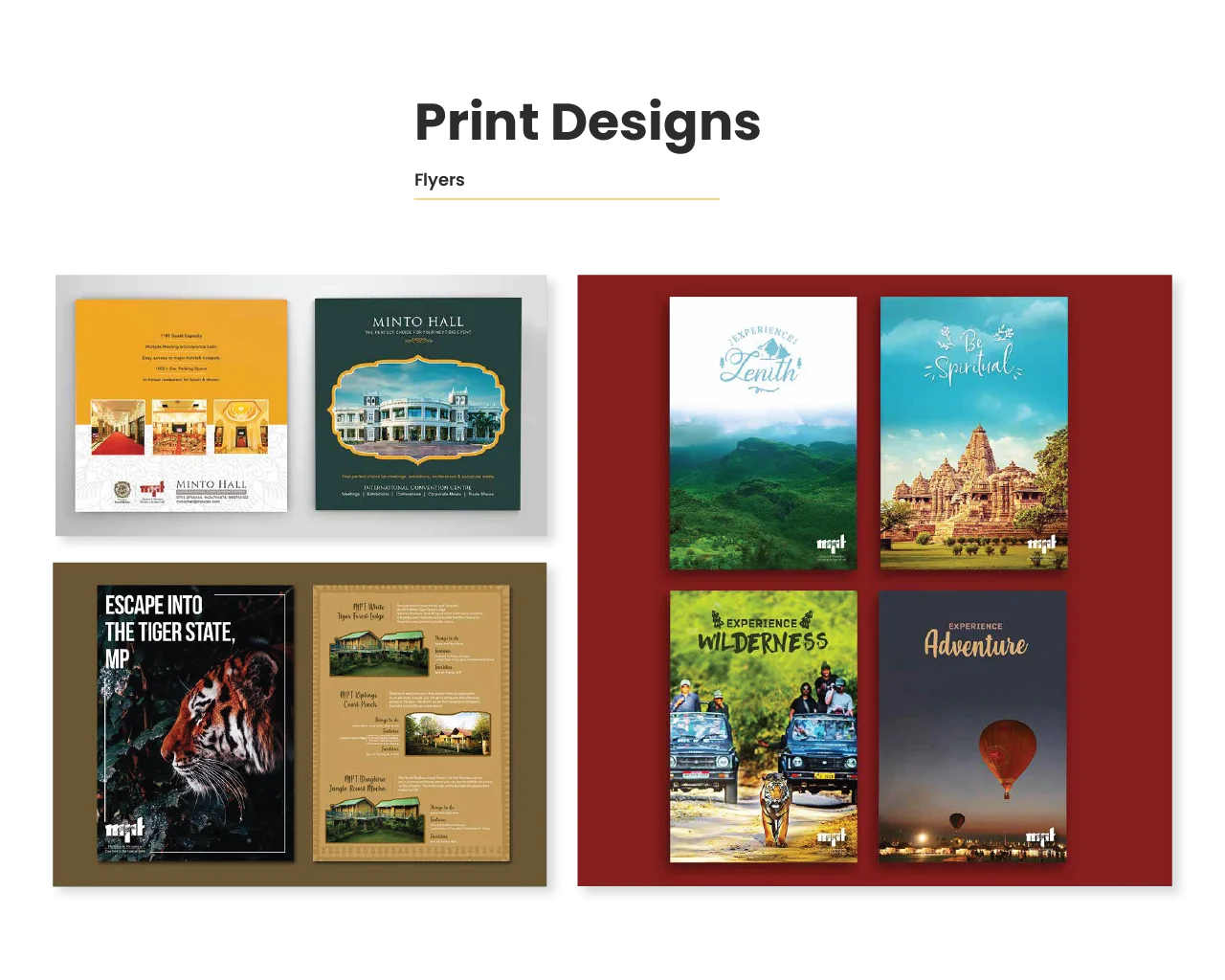 Portfolio Project 2