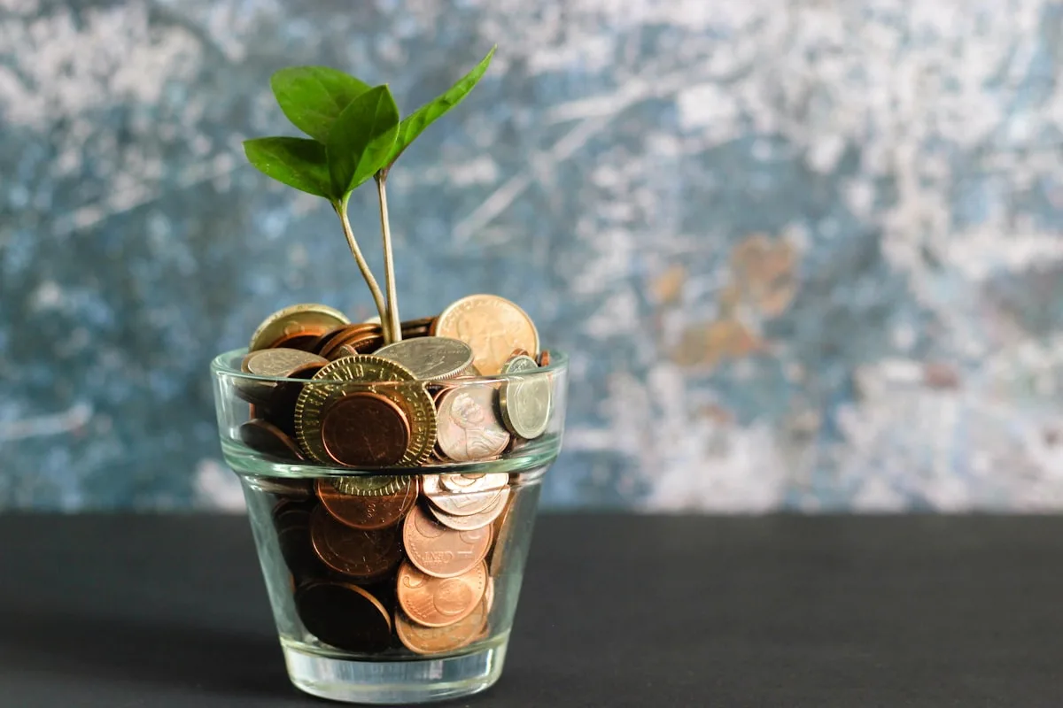 E-Commerce Analytics Framework: Metrics That Actually Drive Revenue